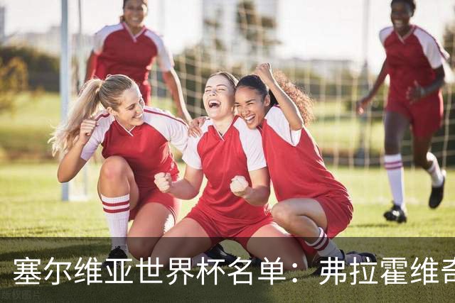 塞尔维亚世界杯名单：弗拉霍维奇领衔 古德利在列